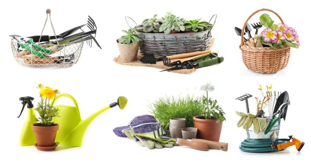 Set of gardening equipment with plants on white background